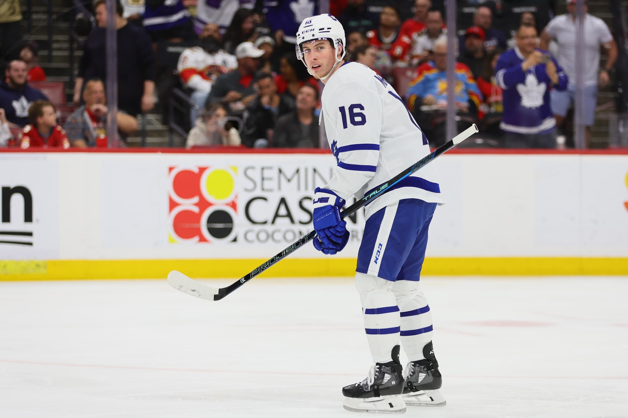 David Alter: Leafs Stars Stepping Up